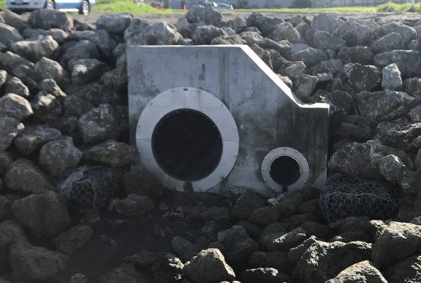 Mosston Rd Wanganui Wastop Backflow Preventer